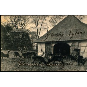 Ved Foraarstid i Dyrehaven - Stender 9683