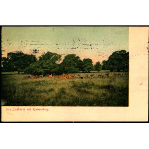 Fra Dyrehaven ved Klampenborg - Oscar E.Kulla 9660