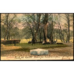 Dyrehaven - Alex Vincent 3026