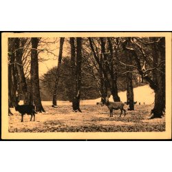 Dyrehaven - A. Giese u/n