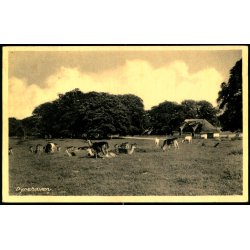 Dyrehaven - Rudolf Olsen 9623