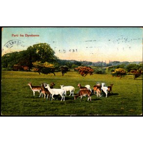 Parti fra Dyrehaven - Stender 27722