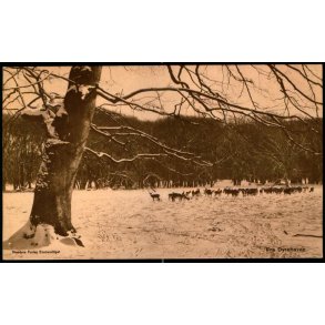 Fra Dyrehaven - Stender u/n