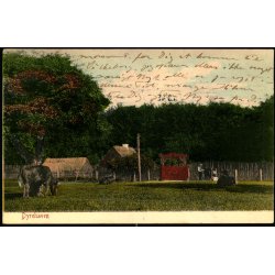 Dyrehaven - Alex Vincent 3041