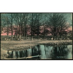 Dyrehaven - Alex Vincent 3024