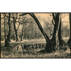 Dyrehaven - Alex Vincent 3025