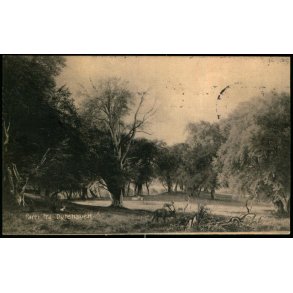 Parti fra Dyrehaven - C. St.3421