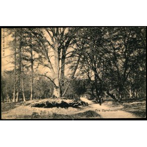 Fra Dyrehaven - Sk.B. & Kf. 1676