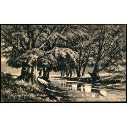 Det stille vand i Dyrehaven - C. St.3419