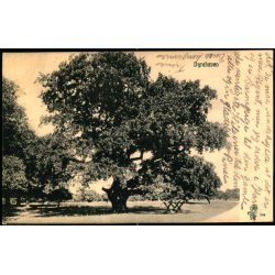 Dyrehaven - Peter Alstrup 104 - Brugt