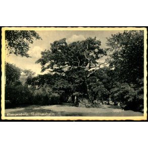 Klampenborg - Skovfogedegen - Bellevue Boderne 10136