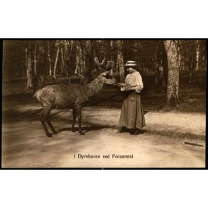 I Dyrehaven ved Foraarstid - S.N. Phillipson u/n