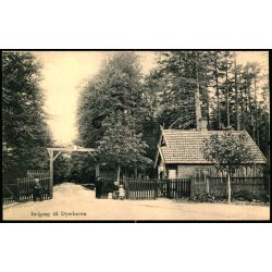 Indgang til Dyrehaven - C.R. 162