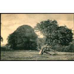 Dyrehaven - "Danmark" u/n