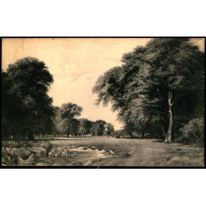 Fra Dyrehaven - Stender 3422