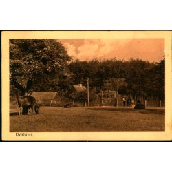 Dyrehaven - Alex Vincent 15