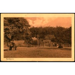 Dyrehaven - Alex Vincent 15