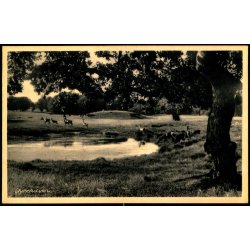 Dyrehaven - Rudolf Olsen 9589