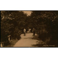 R�de Bro i Dyrehaven - S.N. Phillipson 105