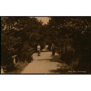 R�de Bro i Dyrehaven - S.N. Phillipson 105