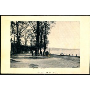 Emiliekilde - Kartonkort - Signeret -