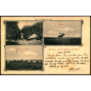 Omegnen af St. Andreas Kollegiet - 41509