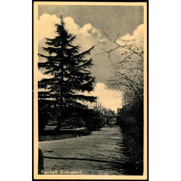 Taarb&aelig;k Kirkegaard - Rudolf Olsen 13372
