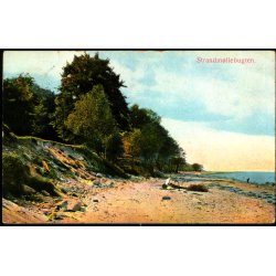 Strandm&oslash;llebugten - Alex Vincent 65
