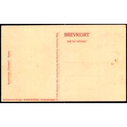 Emiliekilden - Strandvejen - Kortforlaget "Danmark" u/n