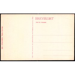 Strandvejen ved Emilie Kilde - C.St. 3443