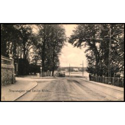 Strandvejen ved Emilie Kilde - C.St. 3443