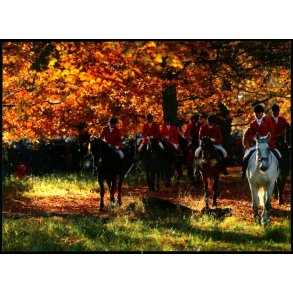 Hubertusjagt i Dyrehaven - Post u/n