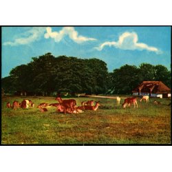 Dyrehaven - Rudolf Olsen 220