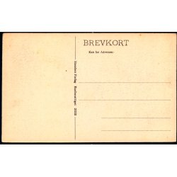 Rigshospitalet - Det patologiske anatomiske Institut - Stender 23333