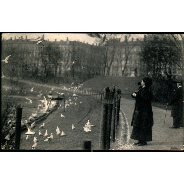 sterbro - Ove Hegh 2572215