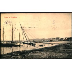 Parti fra Gilleleje - G.M. 2536