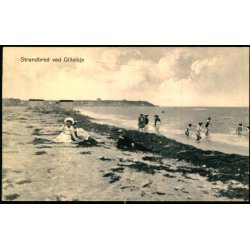 Strandbred ved Gilleleje - J.M. 711