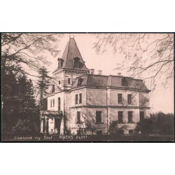 Liselund nye Slot - Carl Petersen 256