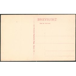 Liselund nye Slot - Carl Petersen 256