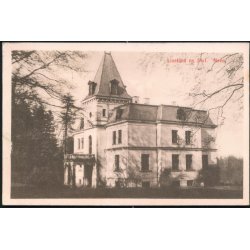 Liselund nye Slot - Carl Petersen 256