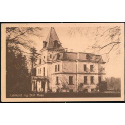 Liselund nye Slot - Carl Petersen 256