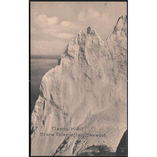 M&oslash;ens Klint- Store Taler efter Skredet - Carl Petersen 216
