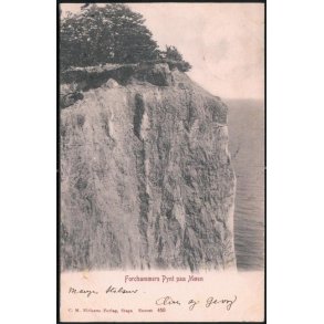 Forchammers Pynt paa Møen - C.M. Nielsen 460