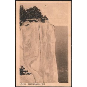 Møen - Forchammers - Alex Vincent 478