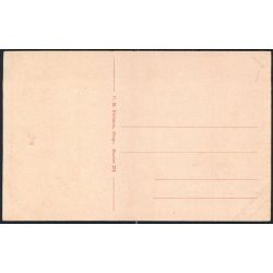 M&oslash;ens Klint - Taleren set fra Slotsgavlene - C.M. Nielsen 274