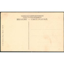 M&oslash;ens Klint - Slotsgavlene set fra Taleren - C.M. Nielsen 71