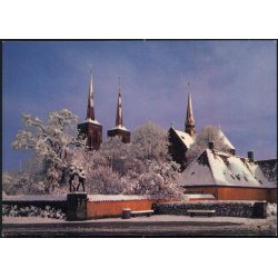 Vinter i Roskilde - Tevad Film u/n