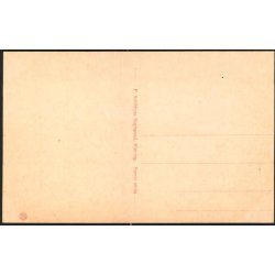 Udsigt over Hirtshals - P. Schibbyes Bog. 49154 - Ubrugt