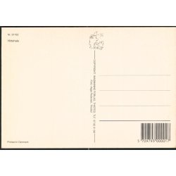 Hirtshals- Wadmanns 91182