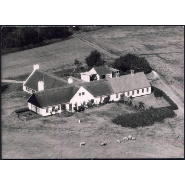 Hirtshals - Fotokort u/n